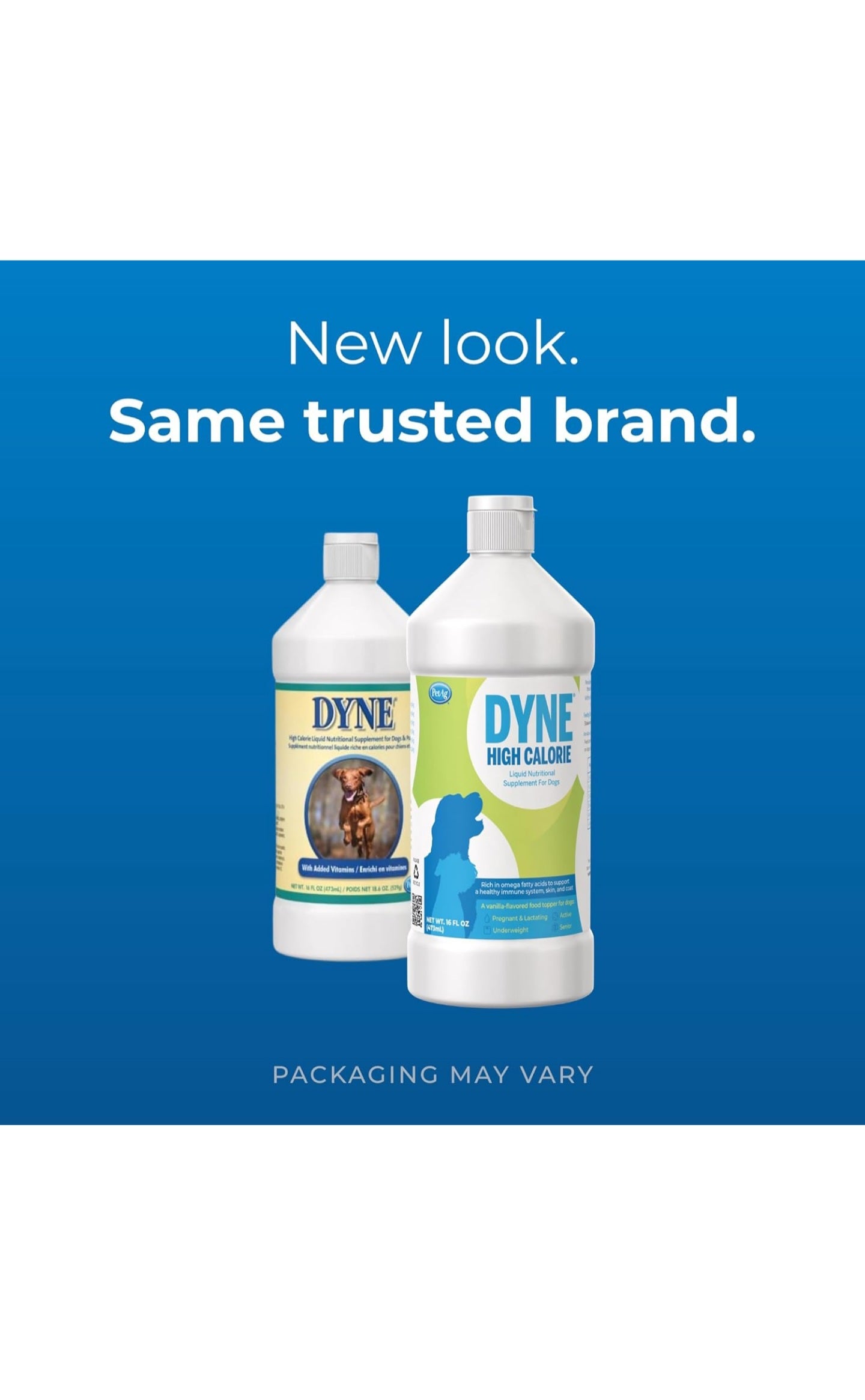Dyne