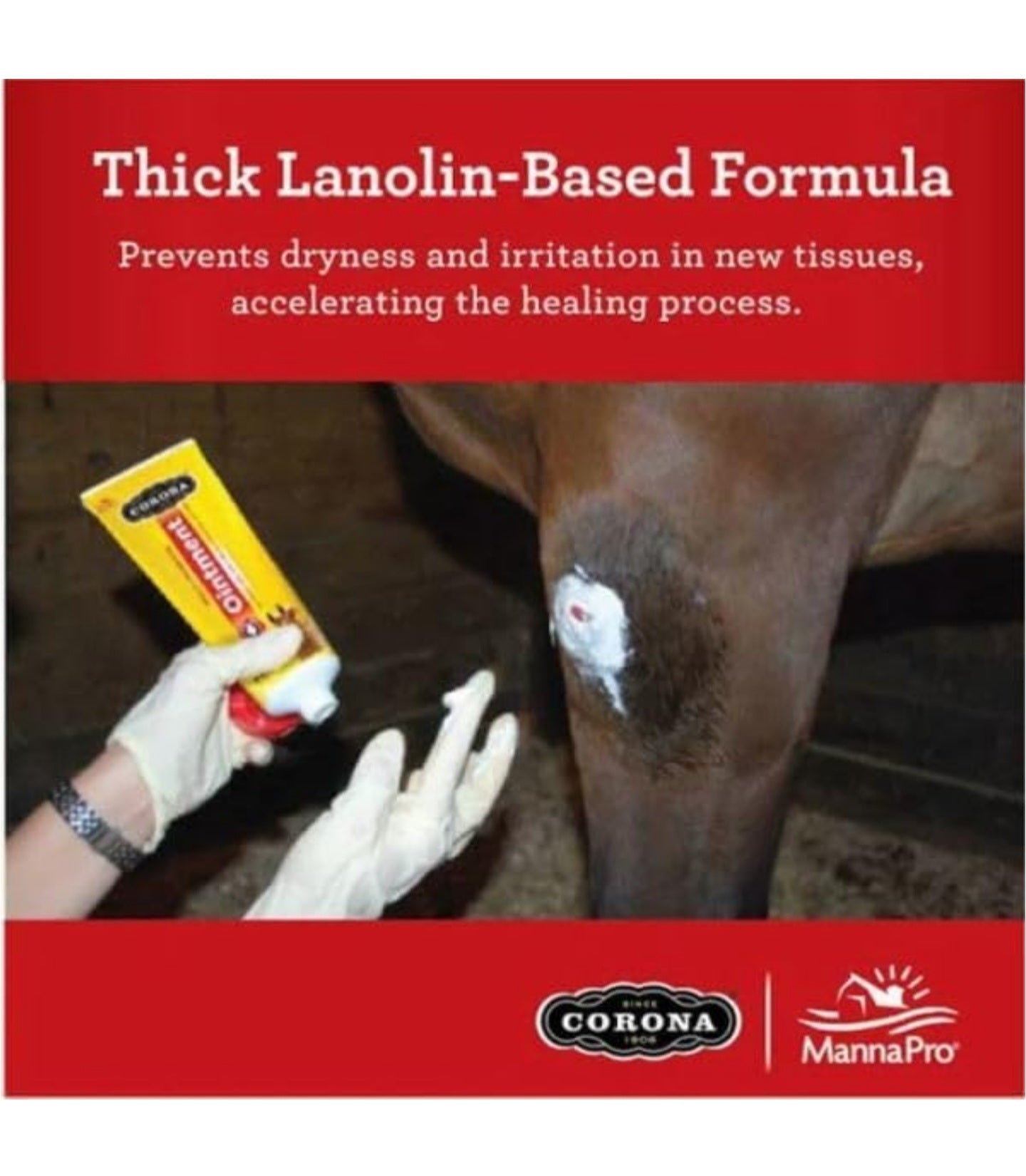 Multi-Purpose Ointment