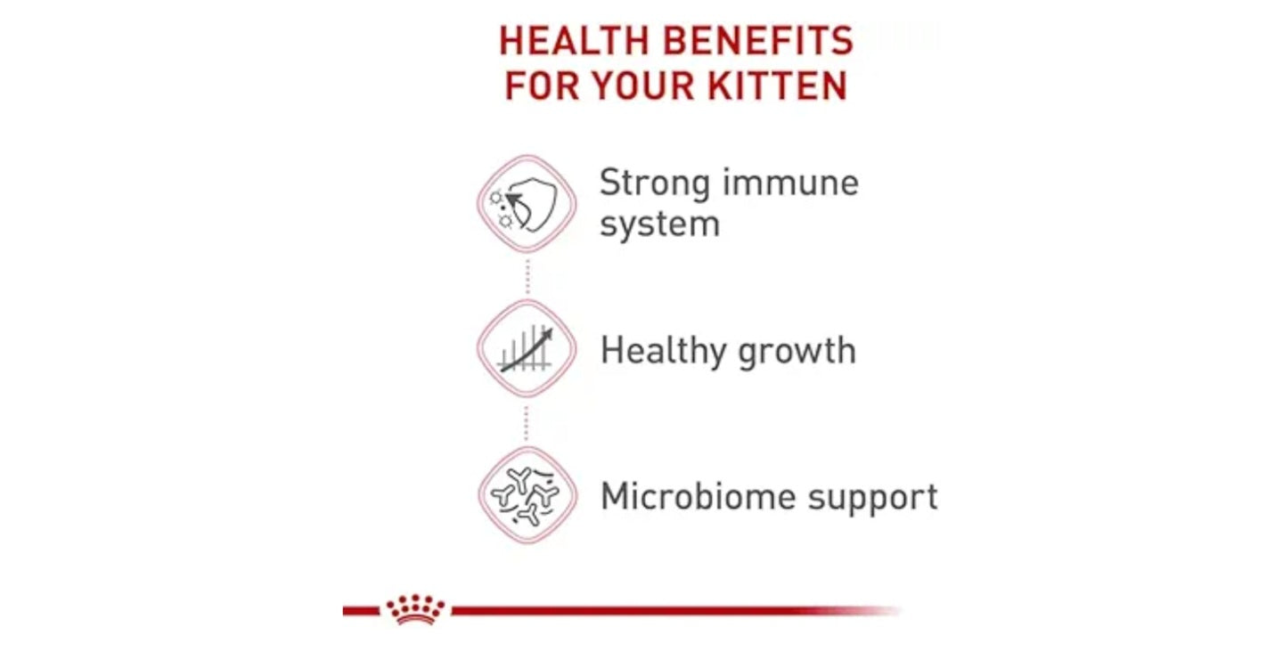 Royal Canin kitten Chaton